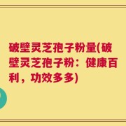 破壁灵芝孢子粉量(破壁灵芝孢子粉：健康百利，功效多多)