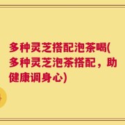 多种灵芝搭配泡茶喝(多种灵芝泡茶搭配，助健康调身心)
