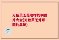 无色灵芝是啥样的啊图片大全(无色灵芝外形图片集锦)