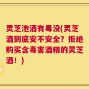灵芝泡酒有毒没(灵芝酒到底安不安全？拒绝购买含毒害酒精的灵芝酒！)