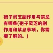 孢子灵芝副作用与禁忌有哪些(孢子灵芝的副作用和禁忌事项，你需要了解的。)