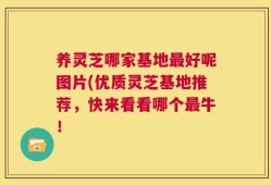 养灵芝哪家基地最好呢图片(优质灵芝基地推荐，快来看看哪个最牛！