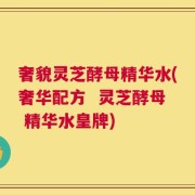 奢貌灵芝酵母精华水(奢华配方  灵芝酵母 精华水皇牌)