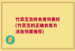 竹灵芝怎样食用效果好(竹灵芝的正确食用方法及效果推荐)