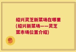 绍兴灵芝新菜场在哪里(绍兴新菜场——灵芝菜市场位置介绍)