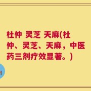 杜仲 灵芝 天麻(杜仲、灵芝、天麻，中医药三剂疗效显著。)