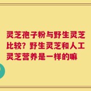 灵芝孢子粉与野生灵芝比较？野生灵芝和人工灵芝营养是一样的嘛