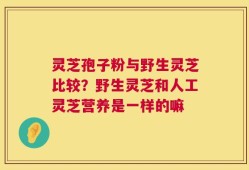 灵芝孢子粉与野生灵芝比较？野生灵芝和人工灵芝营养是一样的嘛
