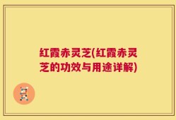 红霞赤灵芝(红霞赤灵芝的功效与用途详解)