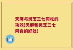 天麻与灵芝三七同吃的功效(天麻和灵芝三七同食的好处)
