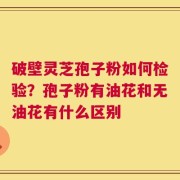 破壁灵芝孢子粉如何检验？孢子粉有油花和无油花有什么区别