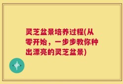 灵芝盆景培养过程(从零开始，一步步教你种出漂亮的灵芝盆景)