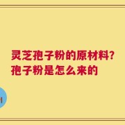 灵芝孢子粉的原材料？孢子粉是怎么来的