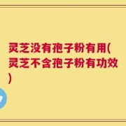 灵芝没有孢子粉有用(灵芝不含孢子粉有功效)