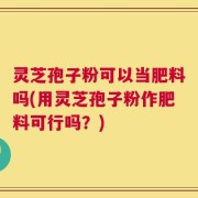 灵芝孢子粉可以当肥料吗(用灵芝孢子粉作肥料可行吗？)