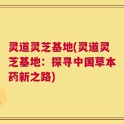 灵道灵芝基地(灵道灵芝基地：探寻中国草本药新之路)