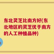 东北灵芝比南方好(东北地区的灵芝优于南方的人工种植品种)