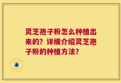 灵芝孢子粉怎么种植出来的？详细介绍灵芝孢子粉的种植方法？