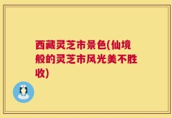 西藏灵芝市景色(仙境般的灵芝市风光美不胜收)