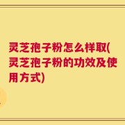灵芝孢子粉怎么样取(灵芝孢子粉的功效及使用方式)