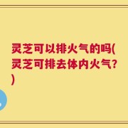灵芝可以排火气的吗(灵芝可排去体内火气？)