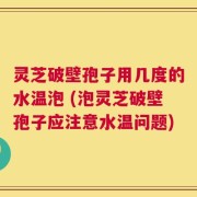 灵芝破壁孢子用几度的水温泡 (泡灵芝破壁孢子应注意水温问题)