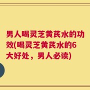 男人喝灵芝黄芪水的功效(喝灵芝黄芪水的6大好处，男人必读)