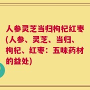 人参灵芝当归枸杞红枣(人参、灵芝、当归、枸杞、红枣：五味药材的益处)