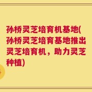 孙桥灵芝培育机基地(孙桥灵芝培育基地推出灵芝培育机，助力灵芝种植)