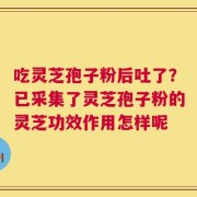 吃灵芝孢子粉后吐了？已采集了灵芝孢子粉的灵芝功效作用怎样呢