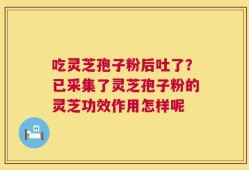 吃灵芝孢子粉后吐了？已采集了灵芝孢子粉的灵芝功效作用怎样呢
