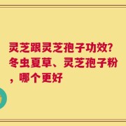 灵芝跟灵芝孢子功效？冬虫夏草、灵芝孢子粉，哪个更好