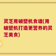 灵芝用破壁机食谱(用破壁机打造更营养的灵芝美食)