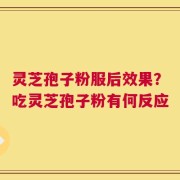 灵芝孢子粉服后效果？吃灵芝孢子粉有何反应