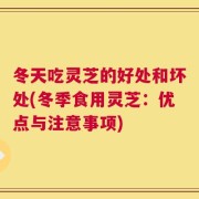 冬天吃灵芝的好处和坏处(冬季食用灵芝：优点与注意事项)