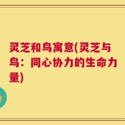 灵芝和鸟寓意(灵芝与鸟：同心协力的生命力量)