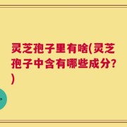 灵芝孢子里有啥(灵芝孢子中含有哪些成分？)