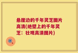 悬崖边的千年灵芝图片高清(绝壁上的千年灵芝：壮观高清图片)