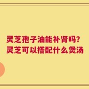 灵芝孢子油能补肾吗？灵芝可以搭配什么煲汤