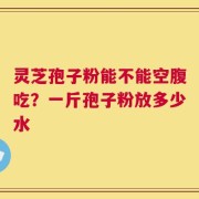 灵芝孢子粉能不能空腹吃？一斤孢子粉放多少水