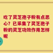 吃了灵芝孢子粉有点恶心？已采集了灵芝孢子粉的灵芝功效作用怎样呢