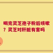 喝完灵芝孢子粉后咳嗽？灵芝对肝脏有害吗