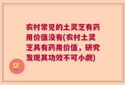农村常见的土灵芝有药用价值没有(农村土灵芝具有药用价值，研究发现其功效不可小觑)