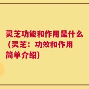 灵芝功能和作用是什么 (灵芝：功效和作用简单介绍)