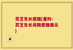 灵芝生长原图(重构：灵芝生长周期原图展示)