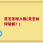灵芝怎样入瓶(灵芝如何装瓶？)