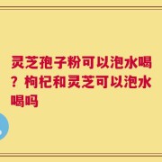 灵芝孢子粉可以泡水喝？枸杞和灵芝可以泡水喝吗
