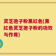 灵芝孢子粉黑红色(黑红色灵芝孢子粉的功效与作用)