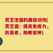 灵芝泡酒的最佳功效(灵芝酒：提高免疫力，抗衰老，助眠安神)