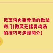 灵芝鸡肉猪骨汤的做法窍门(做灵芝猪骨鸡汤的技巧与步骤简介)
